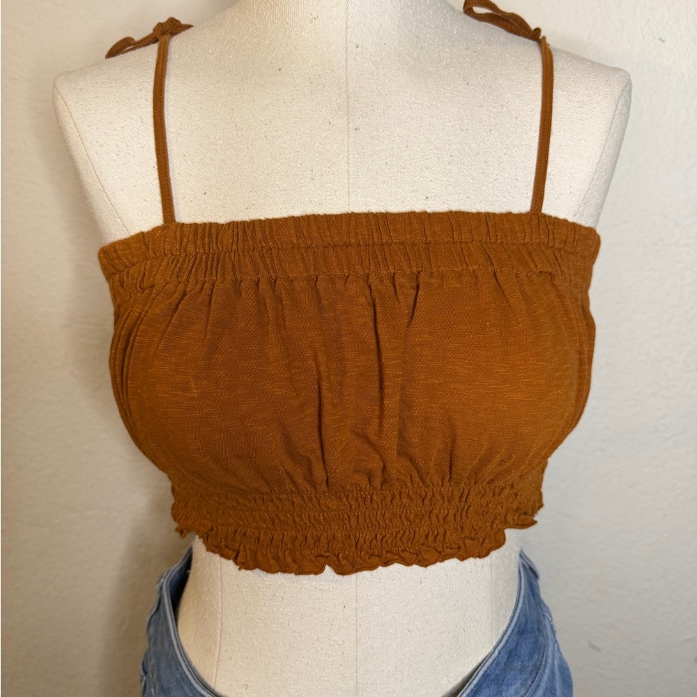 American Eagle Outfitters Rust Crop Top